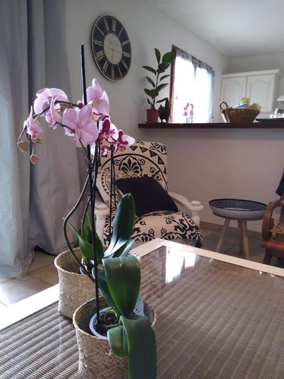 카르카손 Gite Avec Vue Imprenable Sur La Cite 빌라 외부 사진